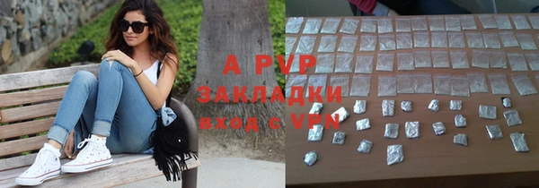 стафф Белокуриха