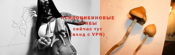 стафф Белокуриха